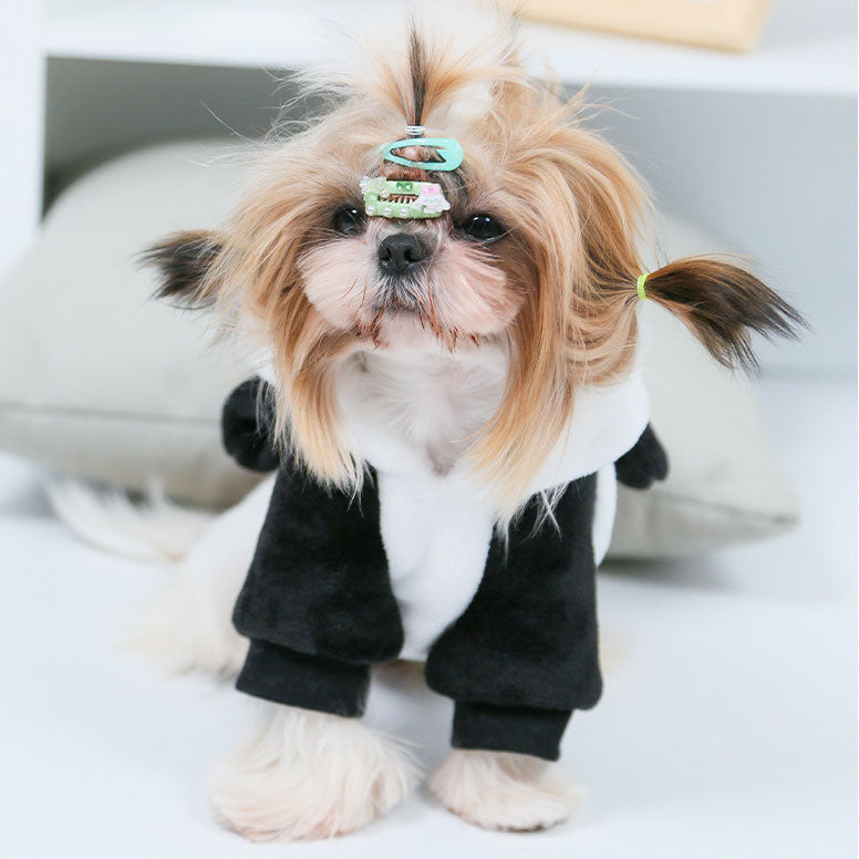Small pet dog costumes with hat